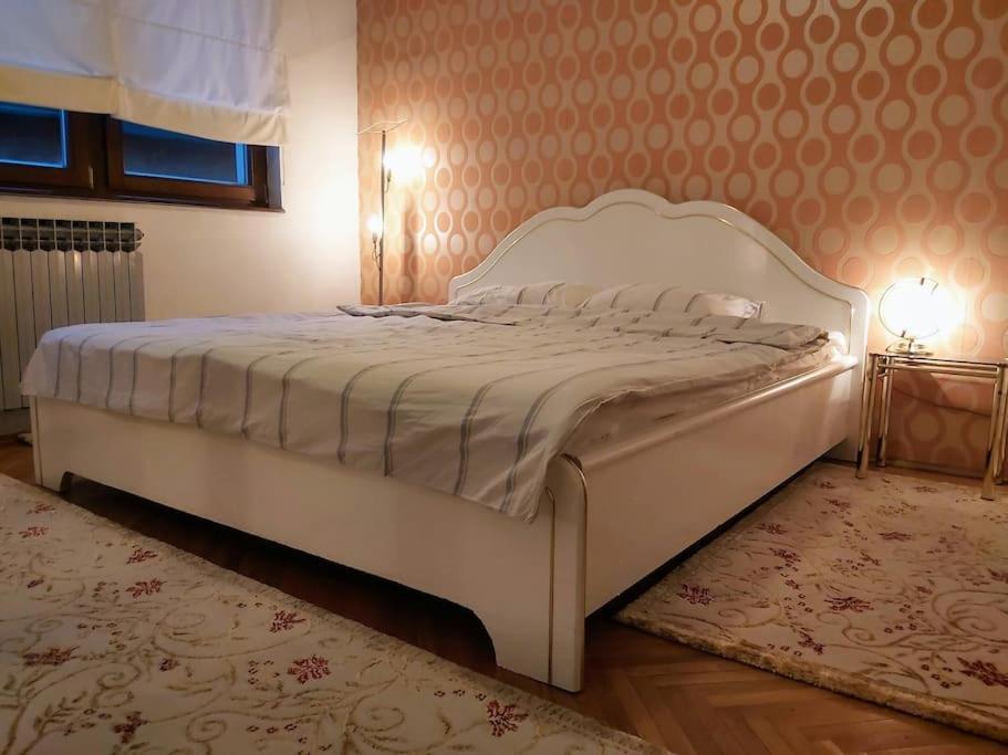 Spacious Condo Near Bascarsija - Free Parking サラエヴォ エクステリア 写真
